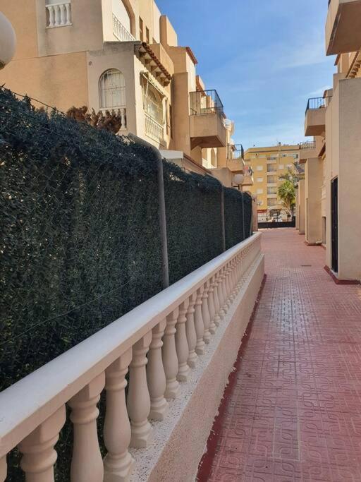 Apartments Near Park Torrevieja Eksteriør bilde